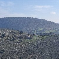 Eithen ofenberg (@eofenberg) 's Twitter Profile
