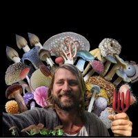 myconeer (@myconeer) 's Twitter Profile Photo myconeer (@myconeer) 's Twitter Profile Photo