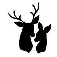 برجواز (@brgwaz) 's Twitter Profile Photo