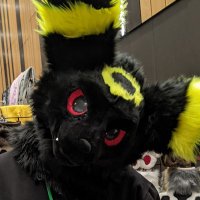 Nrpqb (@nrpqb) 's Twitter Profile