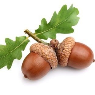 Larence288137's profile picture. -Ideengeber von: Vereinigte Staaten von Europa, Gesundheitskarte, Indiekratie(System Bedürfnisse im Mittelpunkt) & Poliakultur