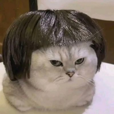 CutieRMT2024's profile picture. RMT NA 🫀