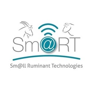 Sm@RT is a European wide network promoting the use of Precision Livestock Farming Technologies across the small ruminant sector. Funded by H2020 R&I No101000471