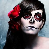 XcesS (@xcess_script) 's Twitter Profile