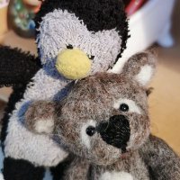 Flori & Konrad (@flori_penguin) 's Twitter Profile