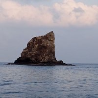 أبو شيخة (@alkalbani222) 's Twitter Profile Photo