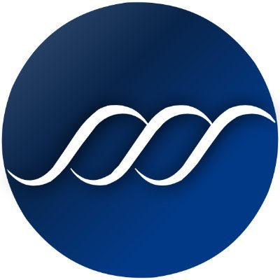 Seanode | Build your crypto wealth Profile