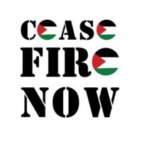 Social Workers for a Free Palestine (@sw4palestineuk) 's Twitter Profile Photo