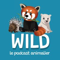 Wild, le podcast animalier (@ambregaudet) 's Twitter Profile