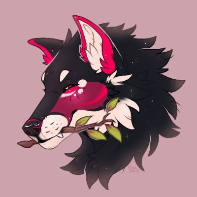 24 years personne trop discret pour n'être vu pfp : einil
✂️:@kukukuk91892571