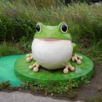 cmate2011 (@cmate2011) Twitter profile photo