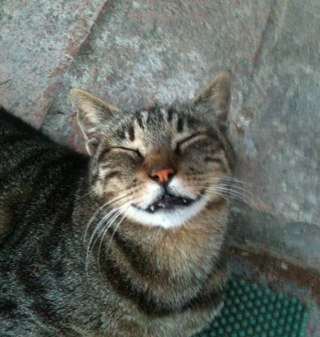 pako23's profile picture. You only live once, but if you do it right, once is enough.