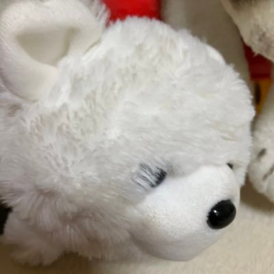 まろ。 (@marokoro1618) / Posts / X