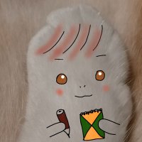 チャロとステラ (@charo2stella) 's Twitter Profile
