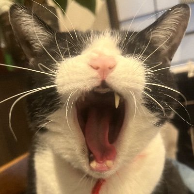 懐斗さんのプロフィール画像