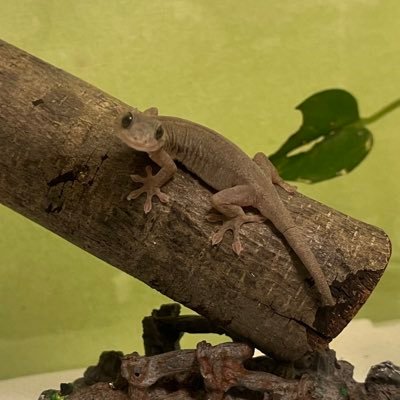 SvSHSQ9Jgj37939's profile picture. 