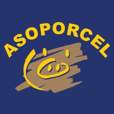 ASOPORCEL Profile Picture