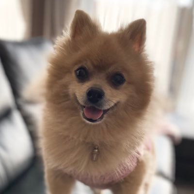 2027w_mizu's profile picture. 中学受験に向けて息子と日々奮闘中です。無言フォローお邪魔しています🙇‍♀️