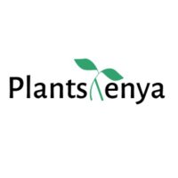Plants Kenya(@plantskenya) 's Twitter Profile Photo