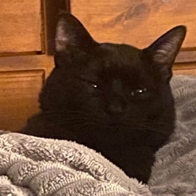 lilbreezy_123's profile picture. watch me on twitch!! I’m a small streamer who just plays whatever. :))