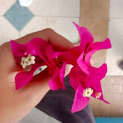 jhieng_c's profile picture. 💜