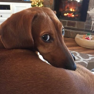 tamarizar's profile picture. o negócio é viver enquanto tá vivo