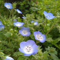 海月悠 (@yuu_teihujou18) Twitter profile photo