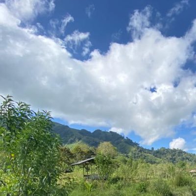 evmarl90's profile picture. 