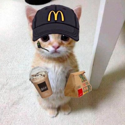 catwifmcsol Profile Picture