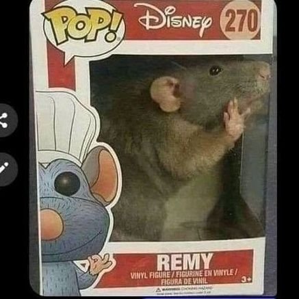ropolor71036's profile picture. 