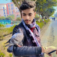 Anoop Yadav (@superbhaiyt1) 's Twitter Profile