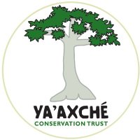 Ya'axché Conservation Trust(@Yaaxche) 's Twitter Profile Photo