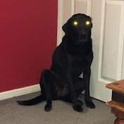 christou_luca's profile picture. I like da spooky stuff

Advocate of Little Nightmares X Dead By Daylight