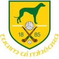 Toomevara GAA (@toomegaa) 's Twitter Profile