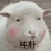 AAA卢关师傅 (@guidaoji) Twitter profile photo AAA卢关师傅 (@guidaoji) Twitter profile photo