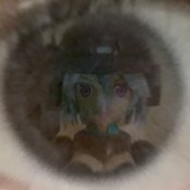 rauluさんのプロフィール画像