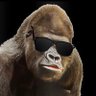 Zerobzoomer's profile picture. Rebelling ape on the planet of the shareholders