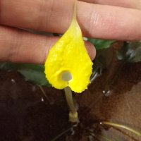 Silent aquarium (@silent_aquarium) 's Twitter Profile Photo