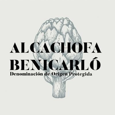 Consell regulador denominació d'origen protegida carxofa de Benicarló ///Consejo regulador denominación de origen protegida alcachofa de Benicarló
