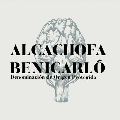 ALCACHOFABENICARLO Profile