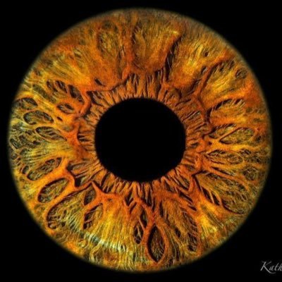 Optometry Doctor 👁️ | QU