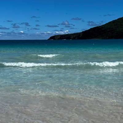 Me gusta abrazar a los árboles y caminar descalza por el pasto… el agua salada lo cura todo #PR🇵🇷 #recicla♻️