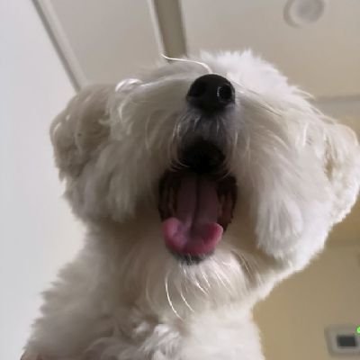 ynlikess's profile picture. a stone to treasure