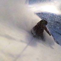 Simon Burgess (@simonjburgess_) 's Twitter Profile Photo