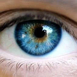 Iwillfollowyout's profile picture. . . . 👀