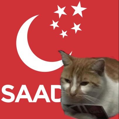 mmmktc's profile picture. el muzaffer daima