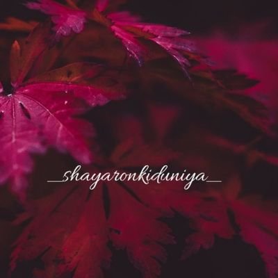 shayaronduniya_ Profile Picture