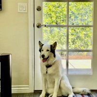 BChurch (@bcrace12) 's Twitter Profile