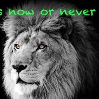 DOCCODM (@doccodm) 's Twitter Profile