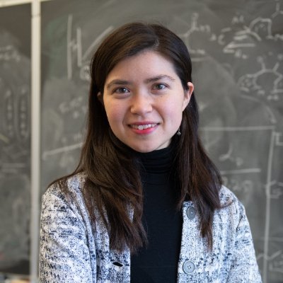 University of Chicago, Assistant Professor of Chemistry, Designing for Disorder in Electrocatalysis, @UChiChemistry